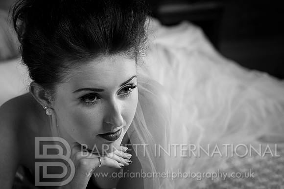 Hollywood Bride