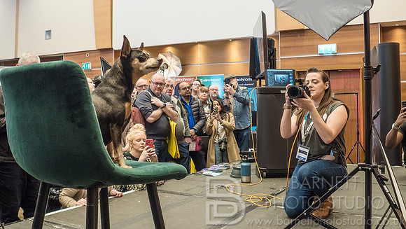 The Society of Photographers Trade Show 2026-198