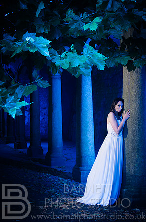 Moonlit Wedding, Devon