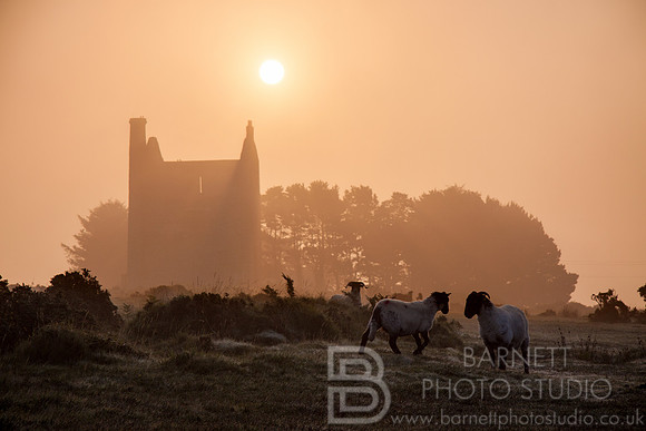 Houseman's Engine House, Minions, Bodmin Moor, Cornwall,