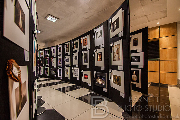 Events & Exhibitions